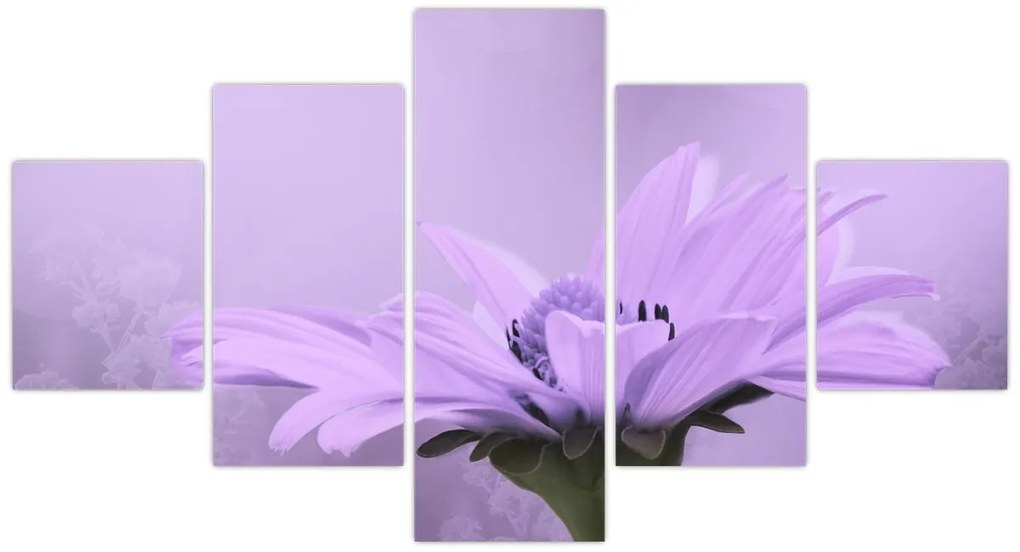 Obraz - Fioletowy kwiat (125x70 cm)