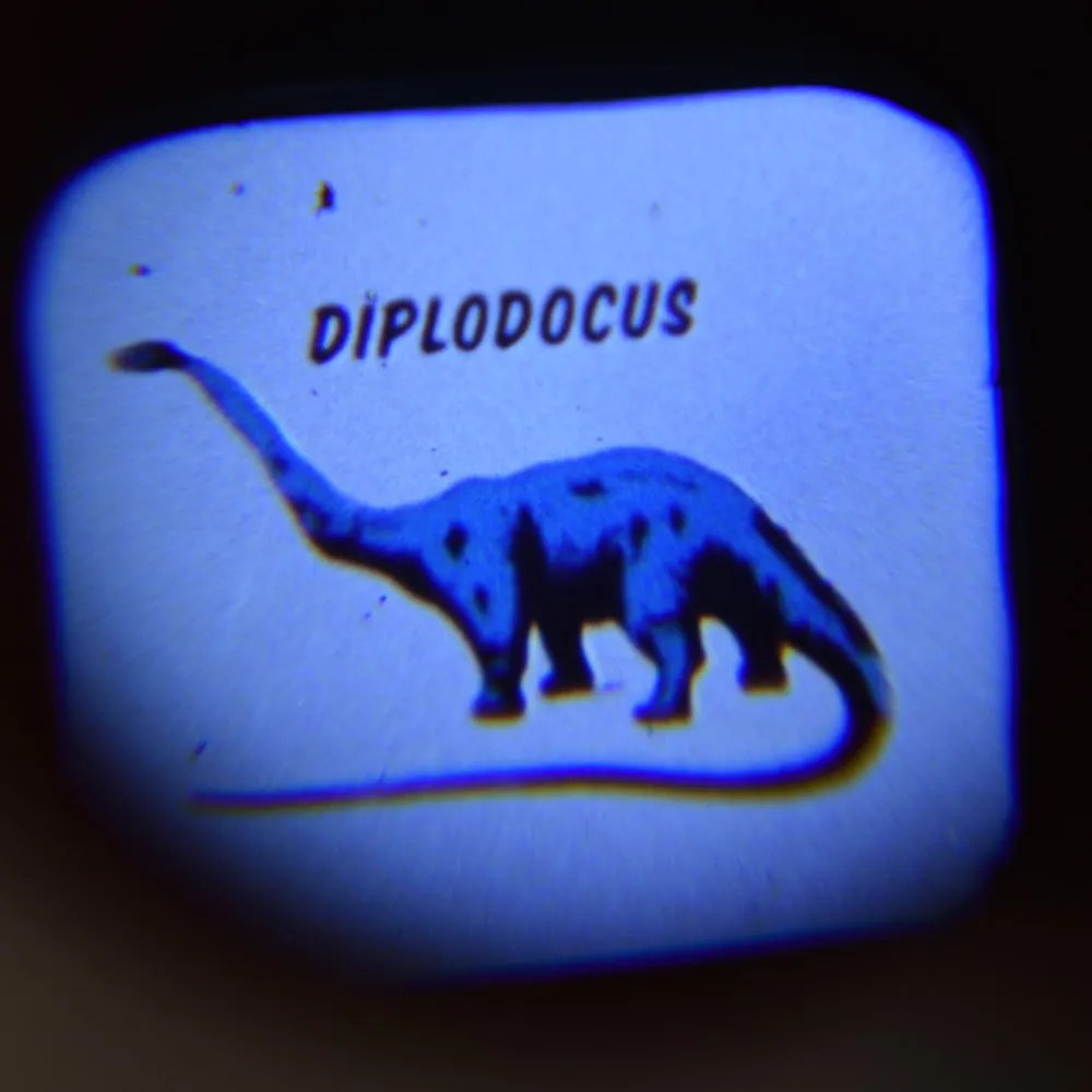 Kieszonkowy wyświetlacz z dinozaurami Rex London, 16 obrazków