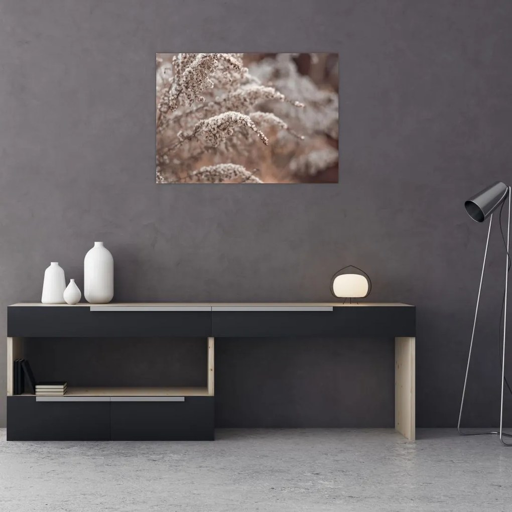 Obraz na szkle roślin (70x50 cm)