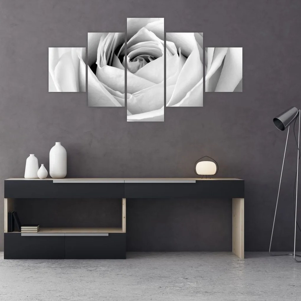 Obraz - Detal kwiatu róży (125x70 cm)