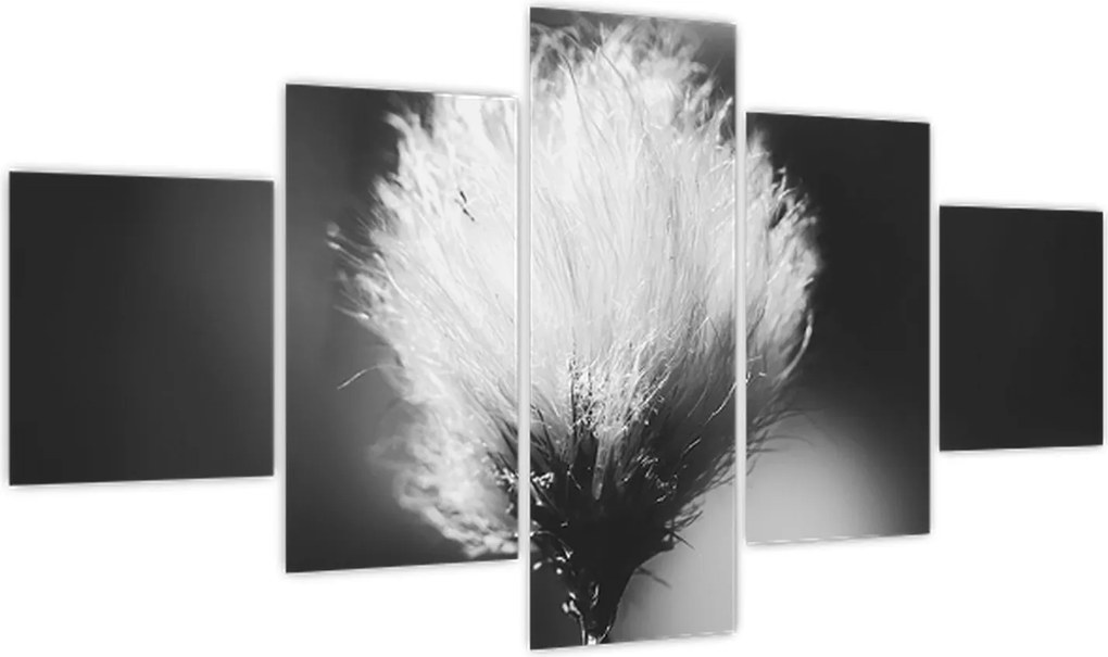 Obraz - Czarno-biała trawa bawełniana (125x70 cm)