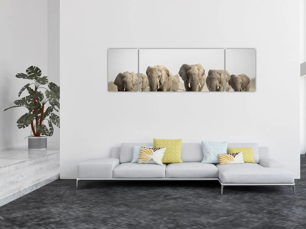 Obraz - Stado słoni (170x50 cm)