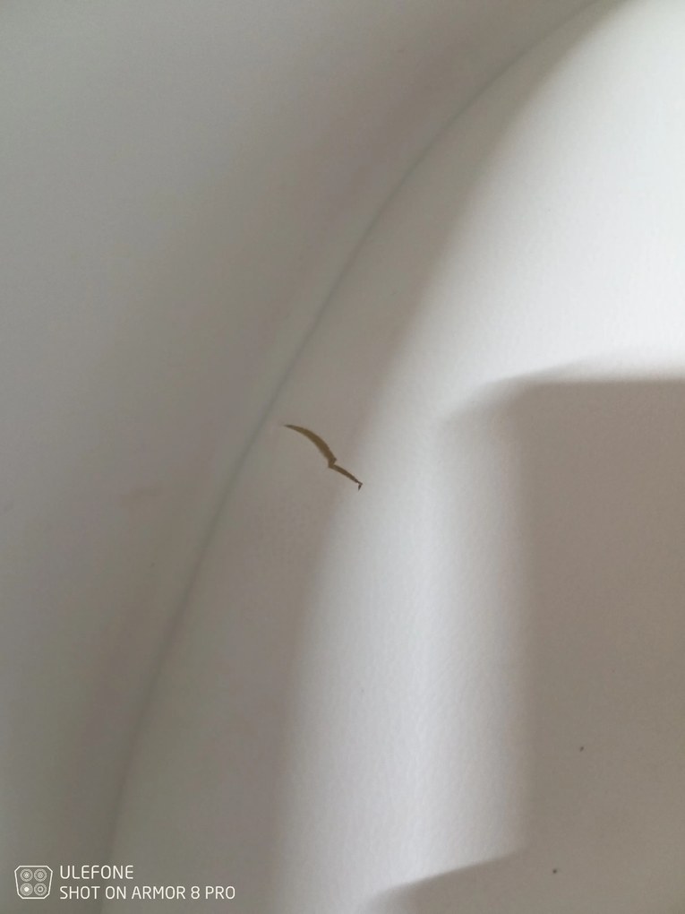 PROMOCJA Białe krzesło z dębowymi nogami KRIS II jakość