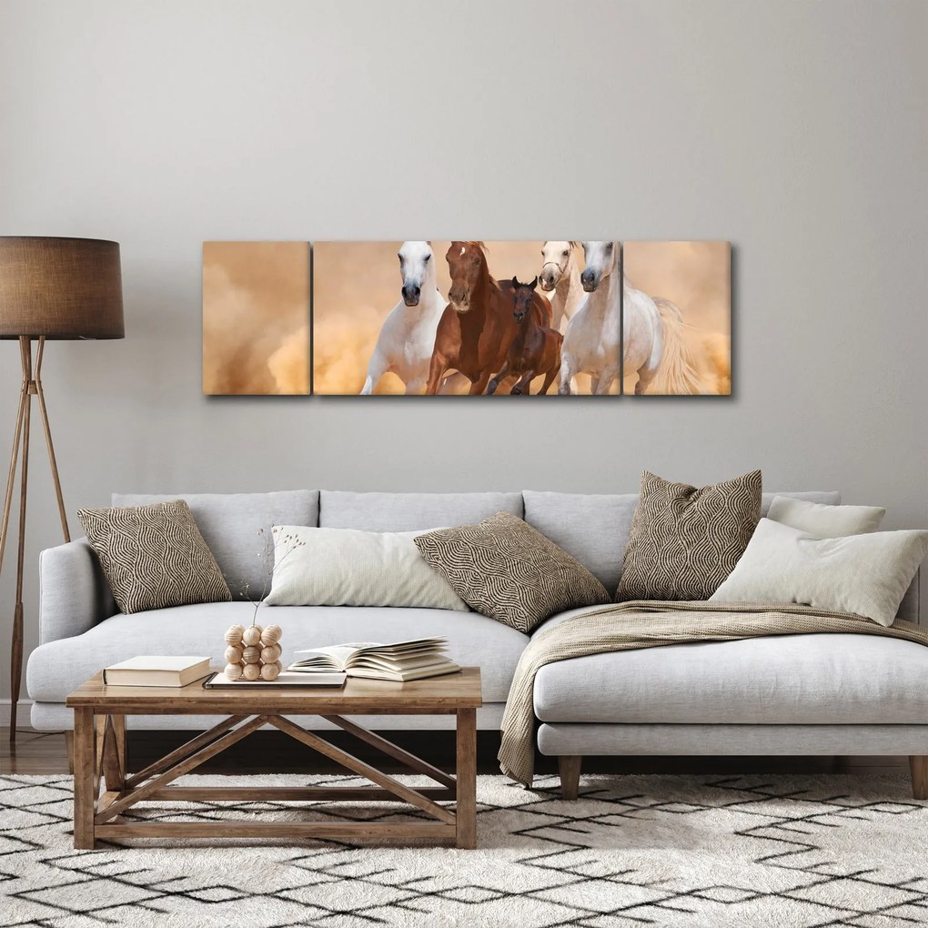 Obraz - Stado koni (170x50 cm)
