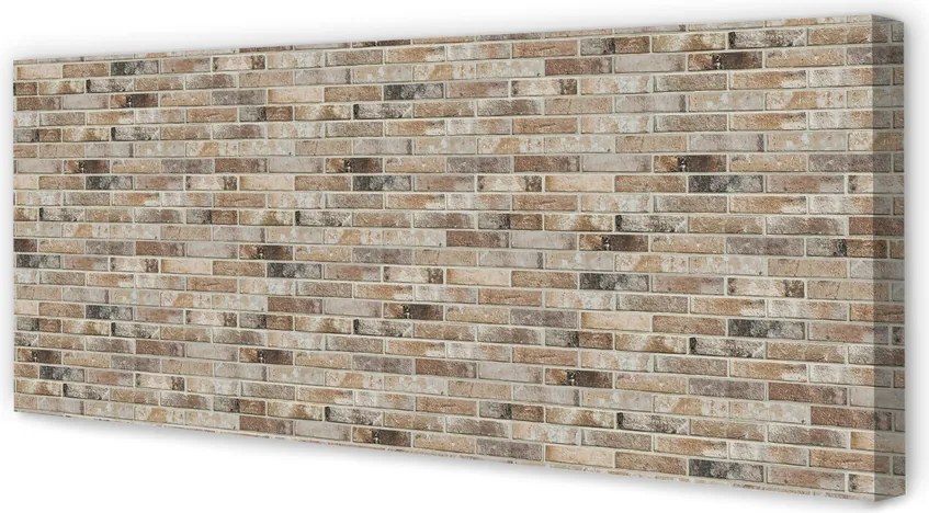 Obraz na płótnie Estetyka Starych Cegieł