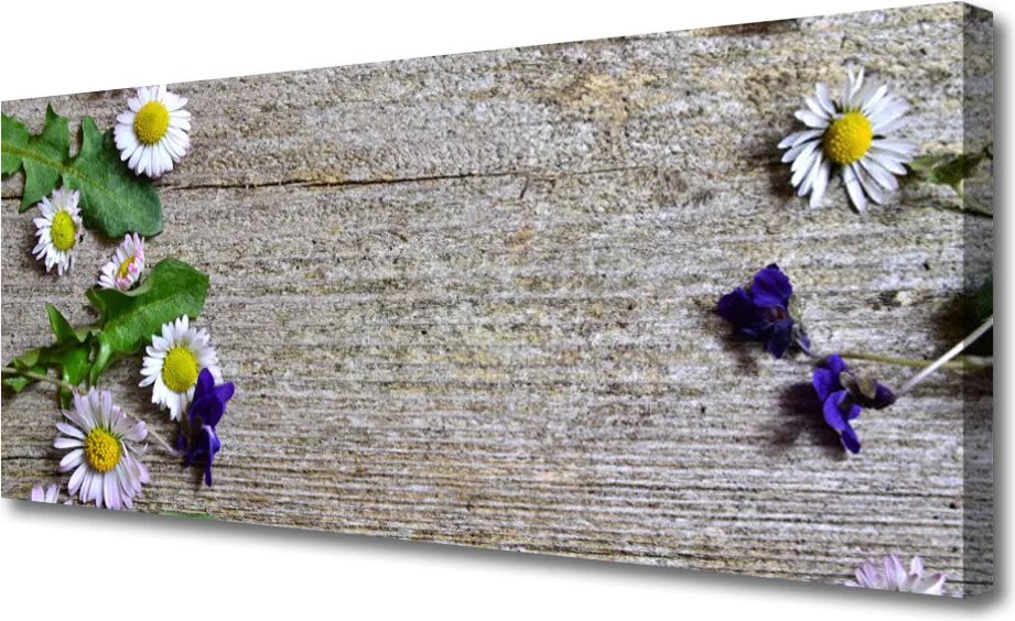 Obraz canvas Urok Polnej Stokrotki