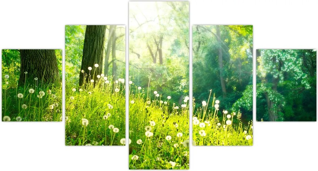 Obraz - Magiczna łąka pełna mniszków lekarskich (125x70 cm)