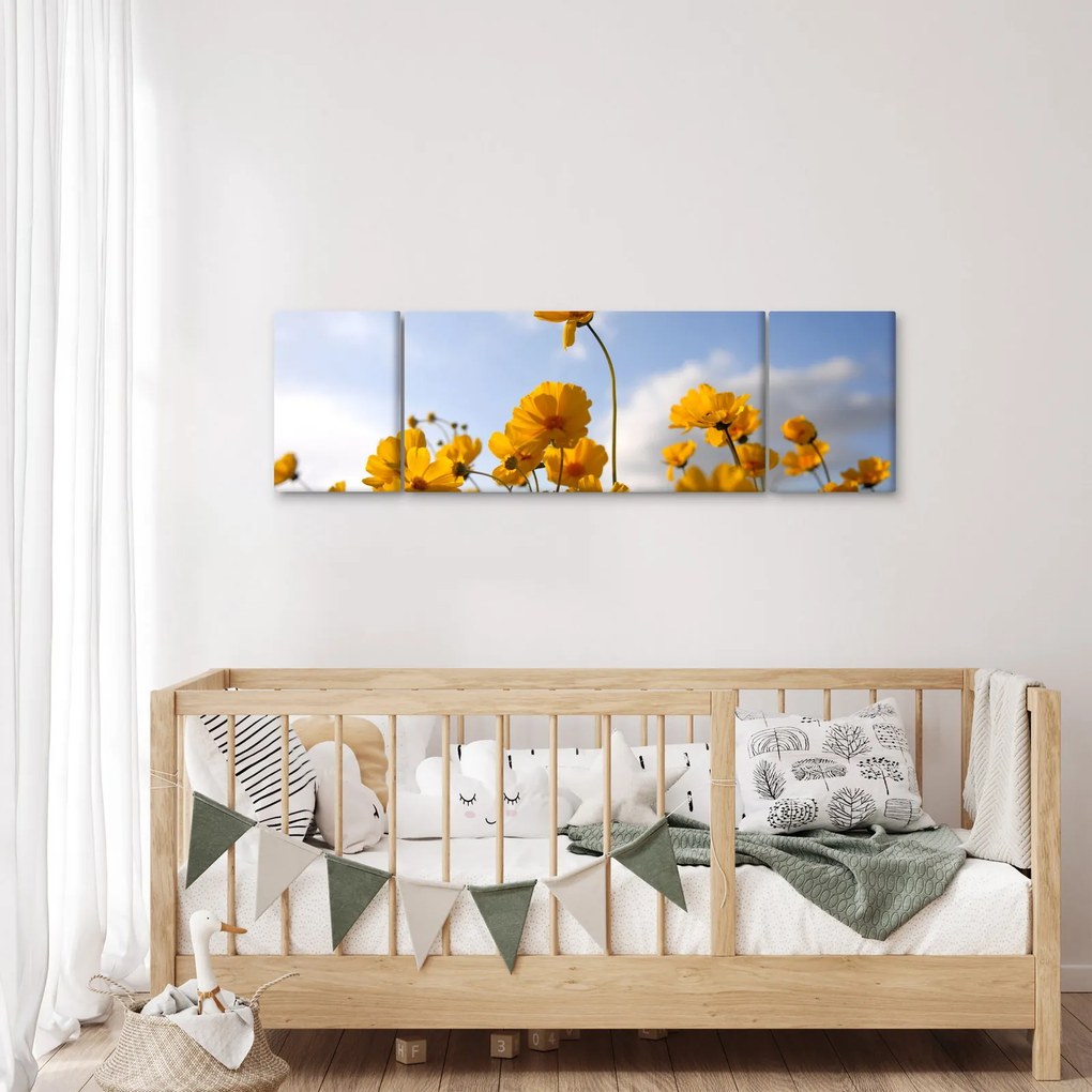 Obraz pola z jasnożółtymi kwiatami (170x50 cm)