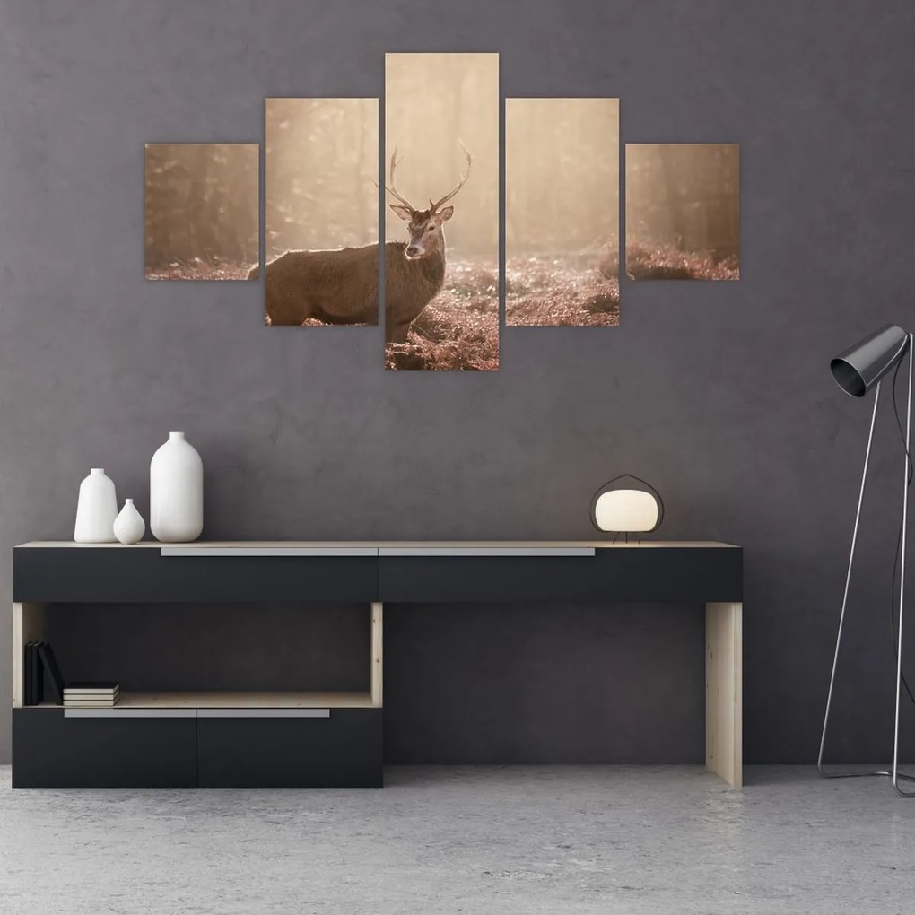 Obraz - Jeleń w lesie (125x70 cm)