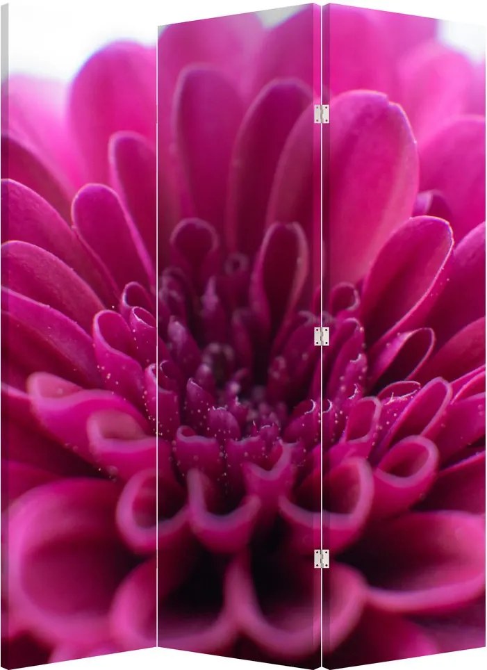 Parawan - Kwiat (126x170 cm)