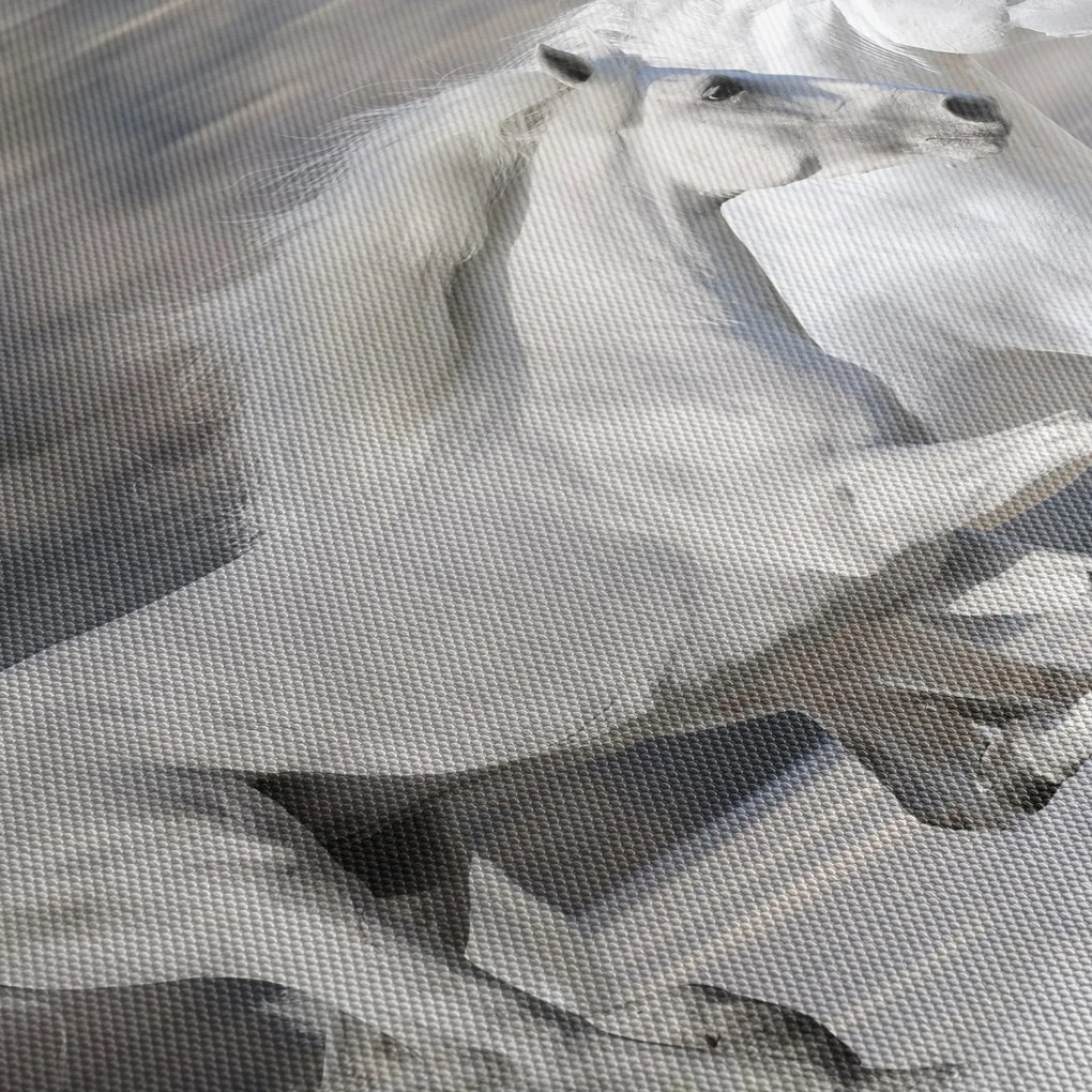Obraz - Białe konie zimą (170x50 cm)