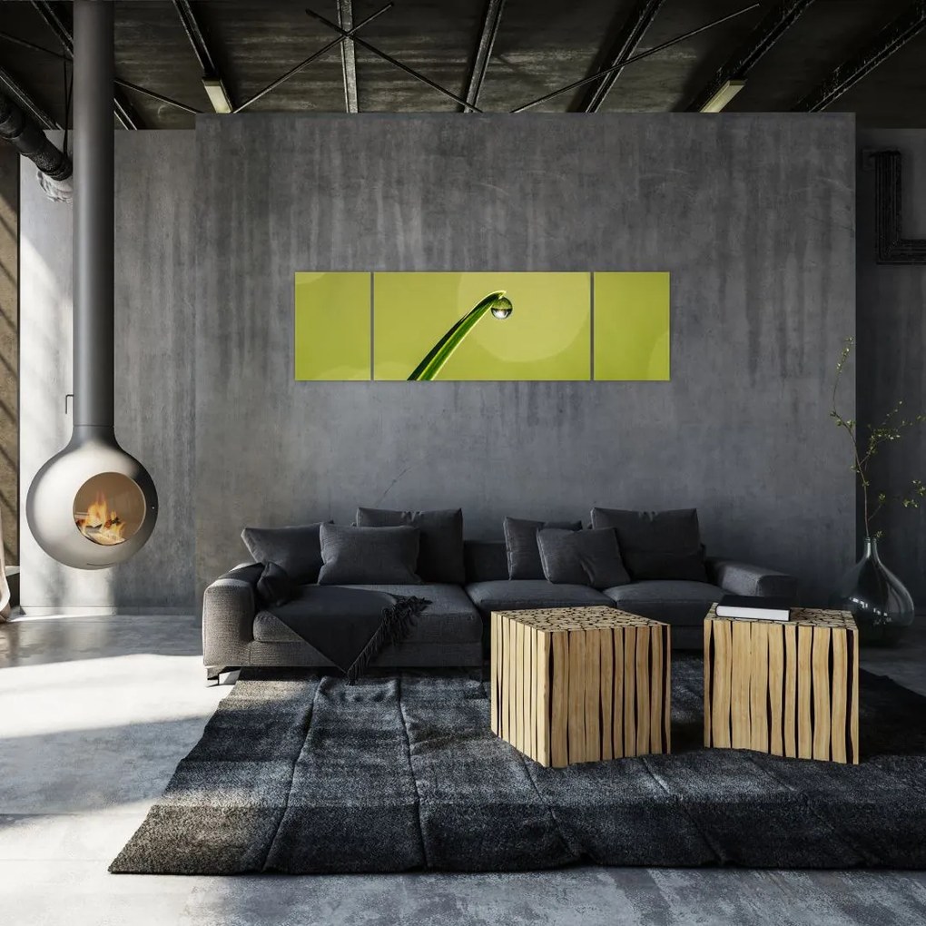 Obraz kropli wody na trawie (170x50 cm)