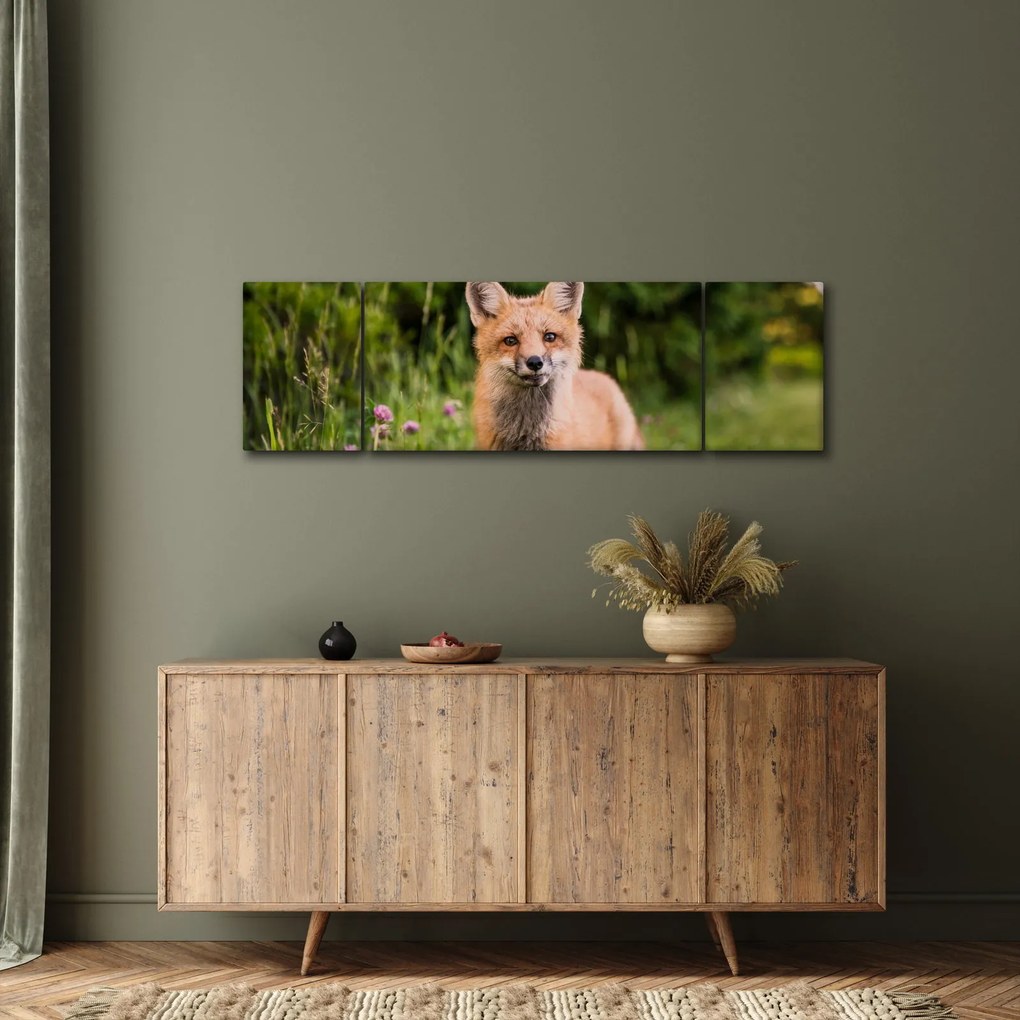 Obraz lisa (170x50 cm)