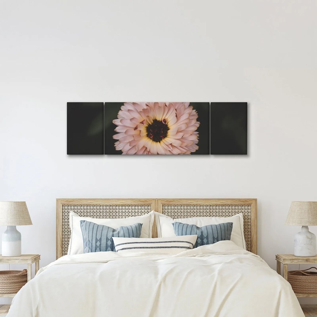 Obraz pomarańczowego kwiatu (170x50 cm)