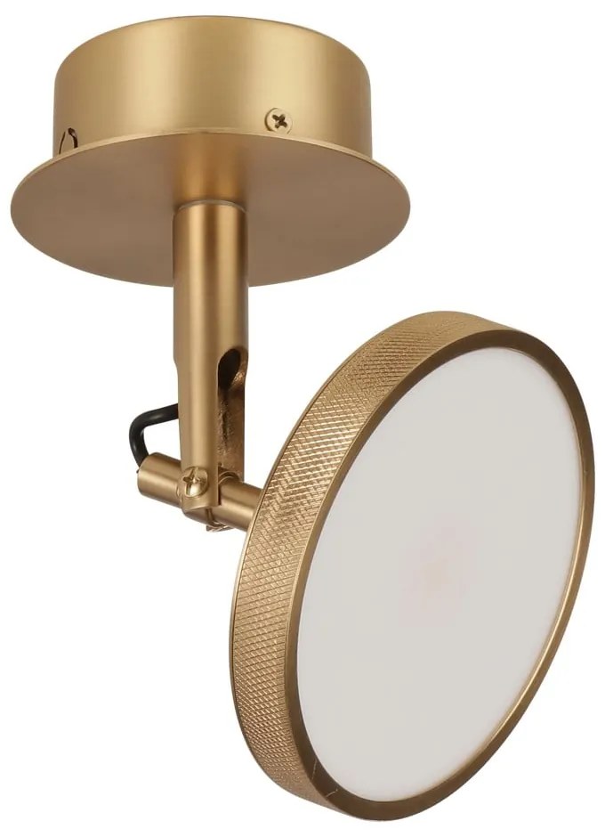 Lampa punktowa LED w kolorze złota ø 12 cm Asteria Spot – UMAGE
