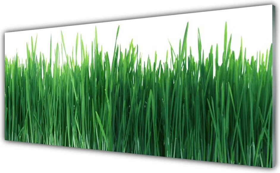 Szkło Ozdobne do Kuchni Naturalna Świeżość Trawy