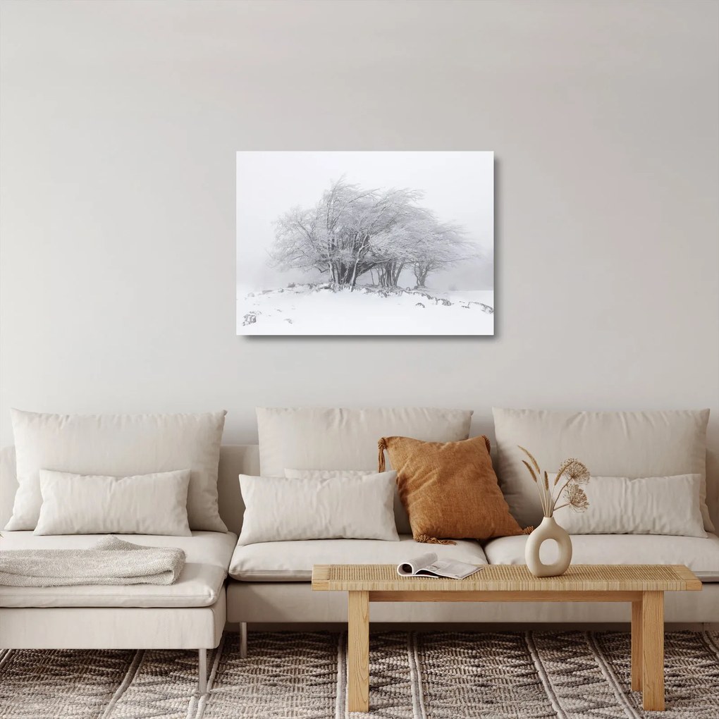 Obraz na szkle - Biała zima (70x50 cm)
