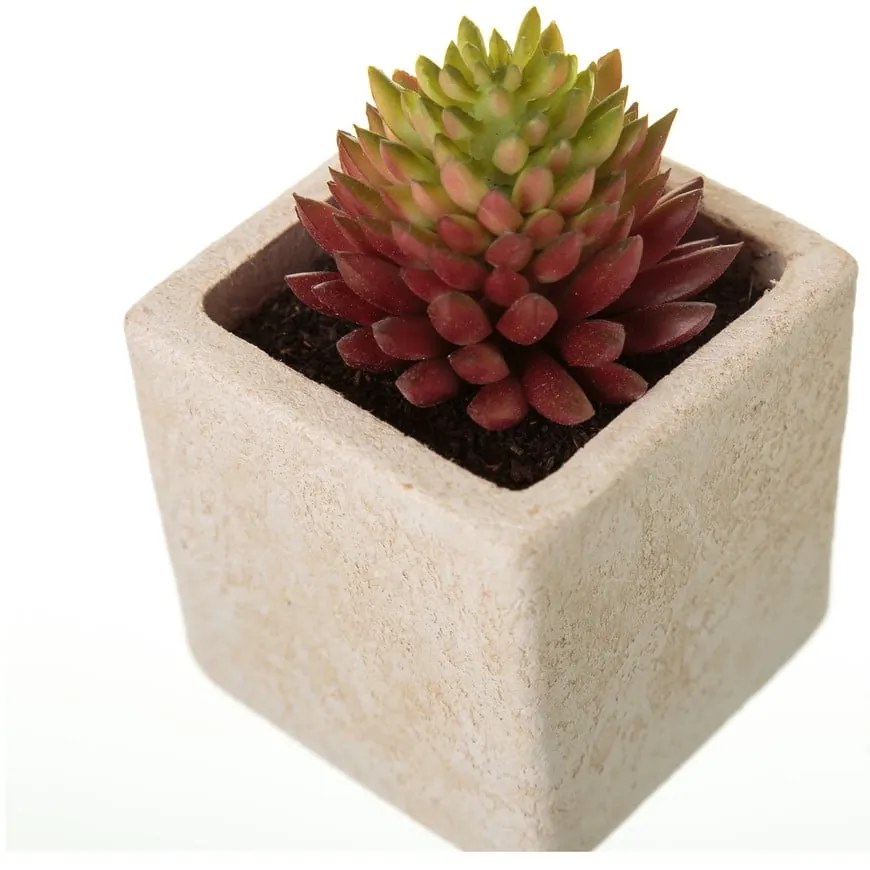Sztuczne rośliny zestaw 6 szt. (wysokość 9,5 cm) Cactus – Casa Selección