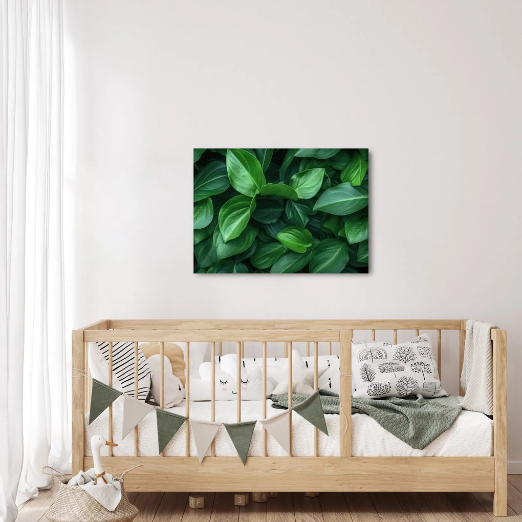 Obraz - Zielone liście (70x50 cm)