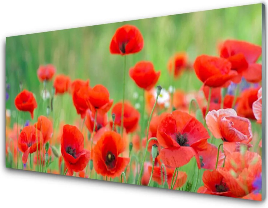 Panel Szklany do Kuchni Polne Kwiaty w Słońcu