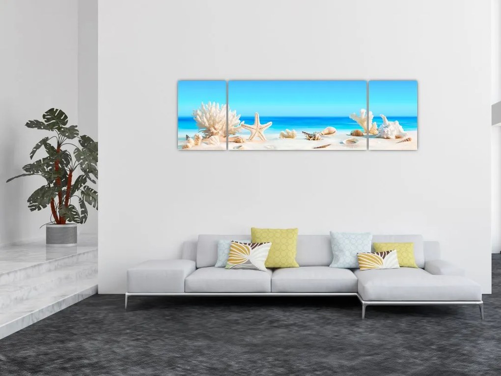 Obraz - Martwa natura z muszelkami (170x50 cm)
