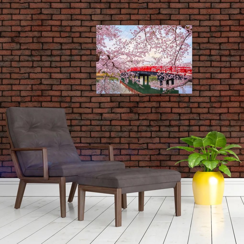 Obraz - Hirosaki, Japonia (70x50 cm)