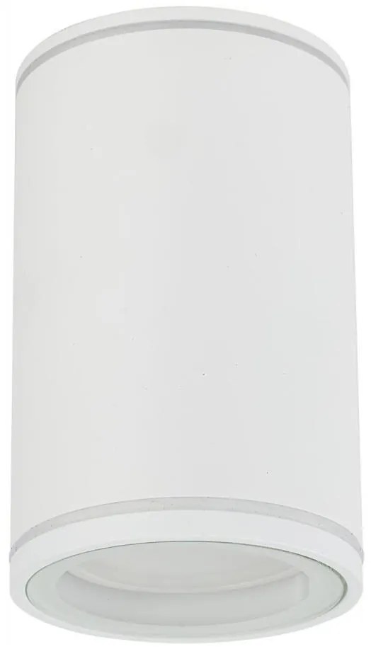 Oświetlenie punktowe FLARE 1xGU10/10W/230V 10 cm biały