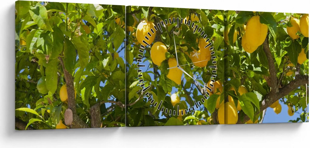 Obraz - Drzewo cytrynowe (z zegarem) (90x30 cm)