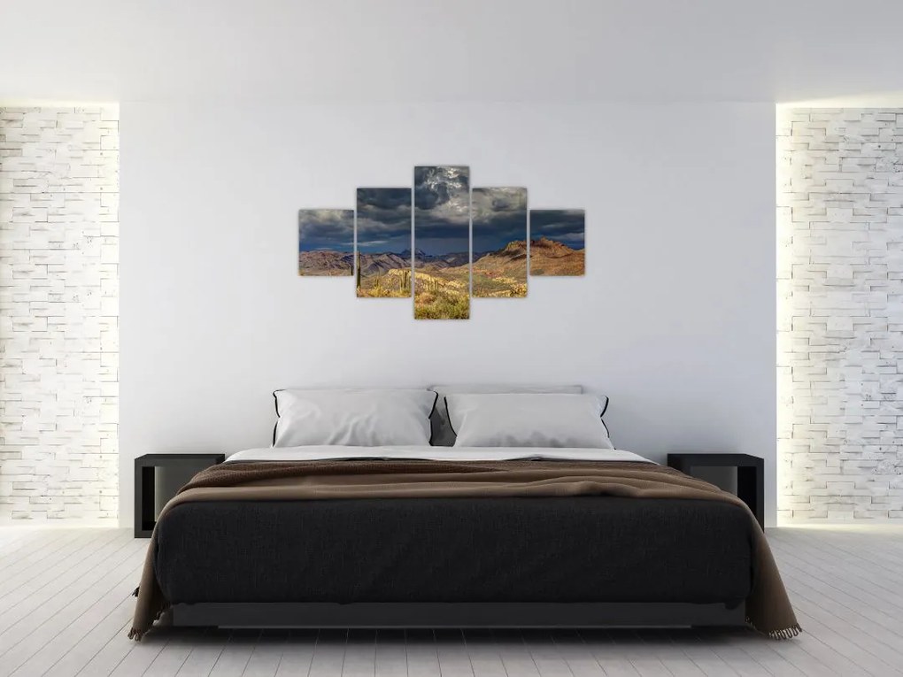 Obraz - kaktusy w przyrodzie (125x70 cm)