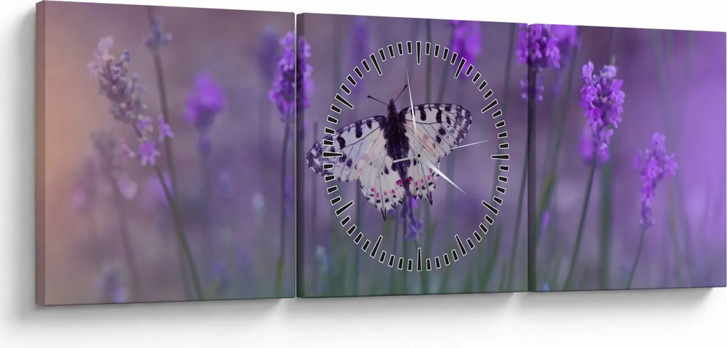 Obraz - Motyl w lawendach (z zegarem) (90x30 cm)