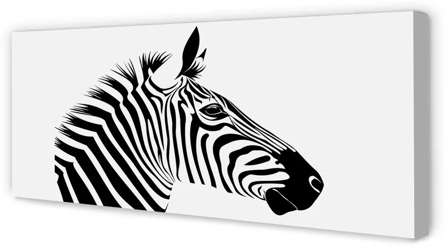 Zdjęcie na płótnie Ilustracja Zebry