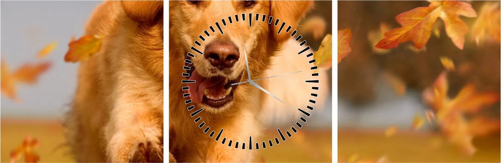 Obraz - Golden Retriever (z zegarem) (90x30 cm)