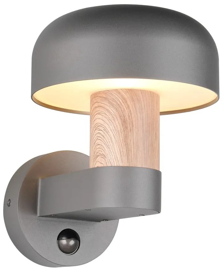 Zewnętrzna lampa ścienna (wysokość 24,5 cm) Fraser – Trio