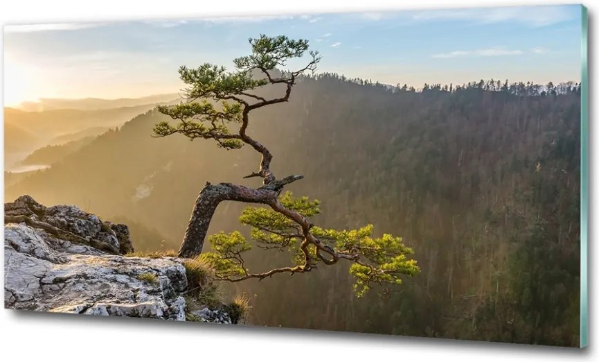 Foto obraz szklany Sokolica Pieniny