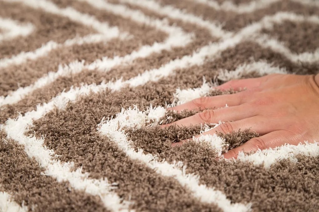 Dywan Shaggy Nano Light Mikrofibra brązowo-biały 120 cm x 160 cm