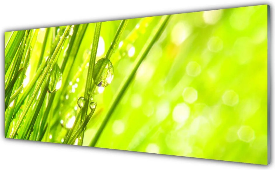 Panel Szklany Świeżość Porannej Rosy