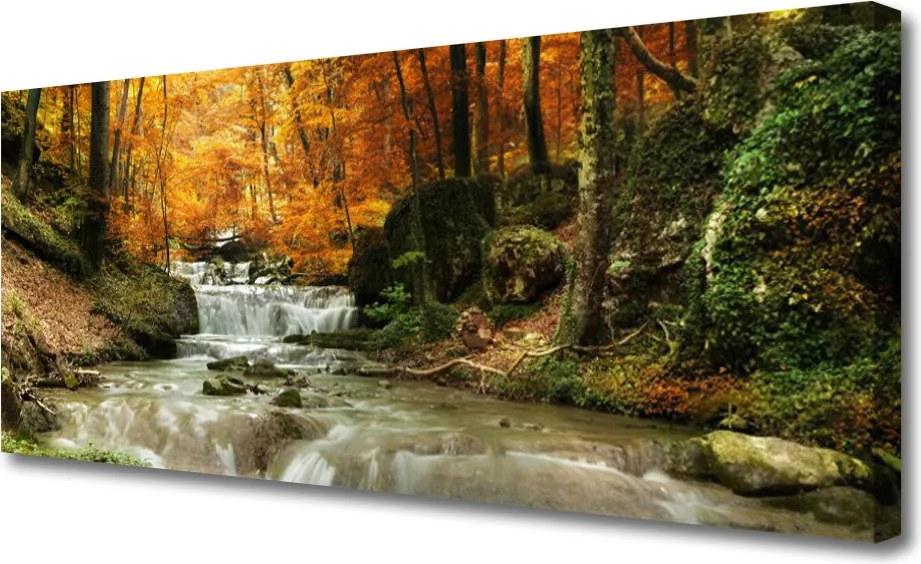 Obraz canvas Ukryty Wodospad w Gęstwinie