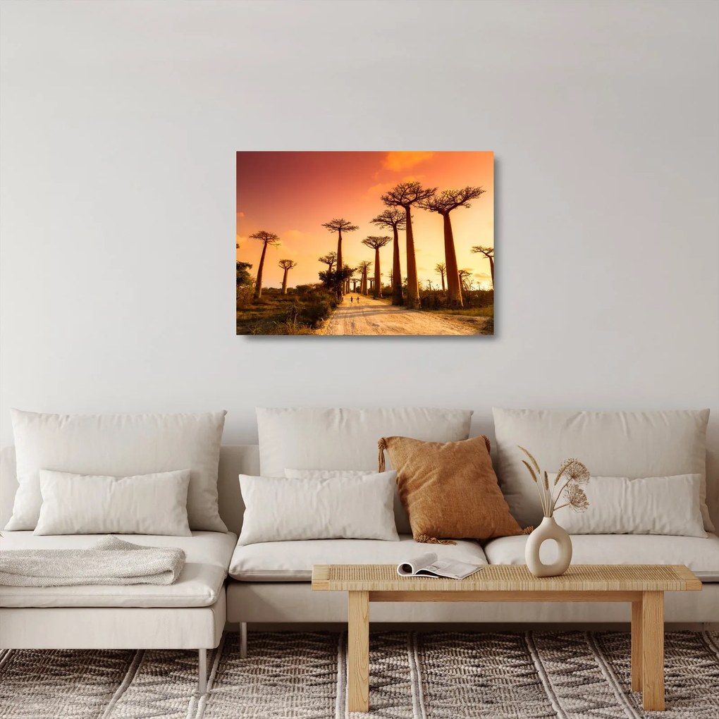 Obraz na szkle - Zachód słońca w Baobab Alley (70x50 cm)