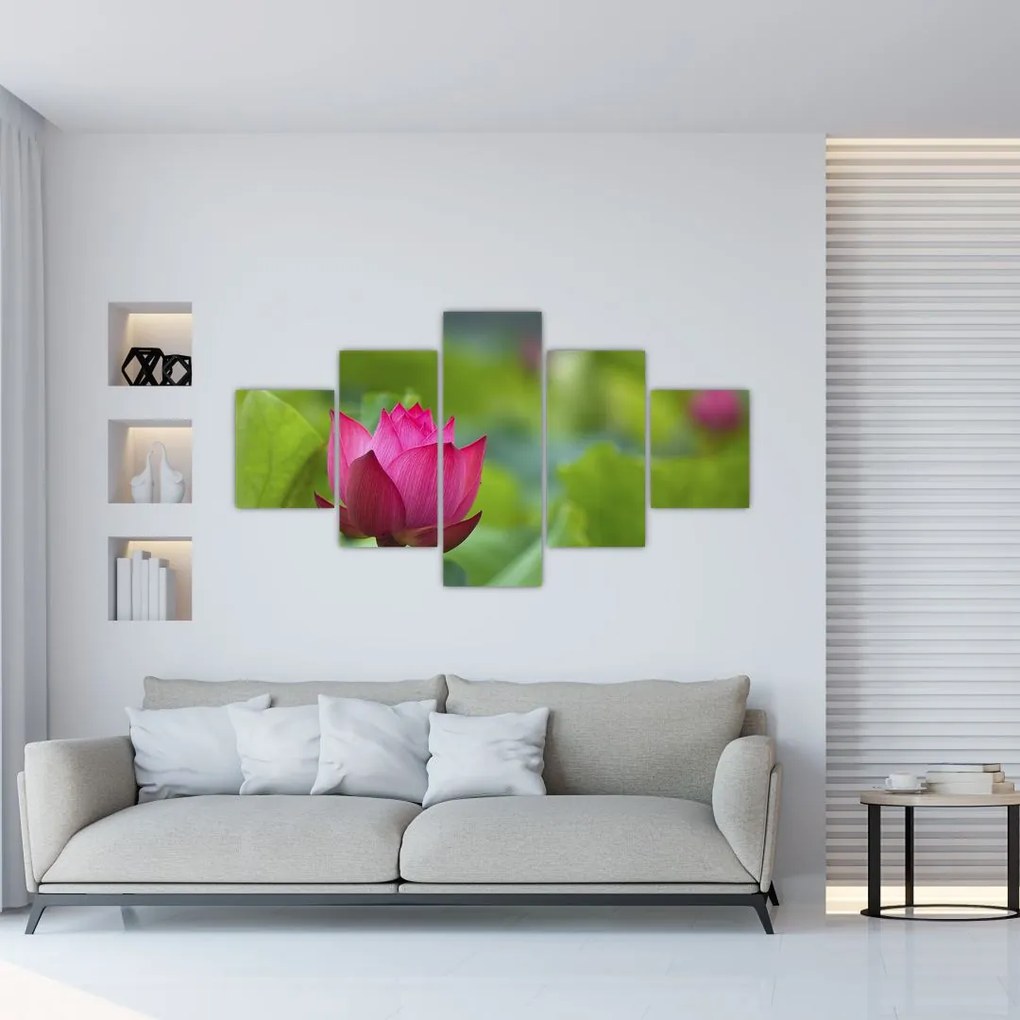 Obraz - roślina wodna (125x70 cm)