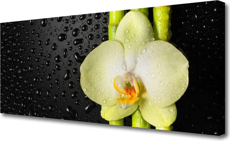 Duży obraz na płótnie Harmonijna Kompozycja Botaniczna