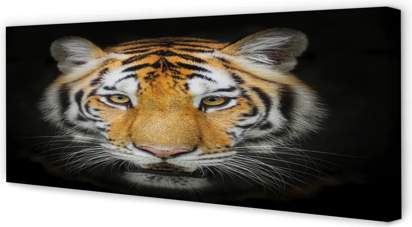 Zdjęcie na płótnie Portret Tygrysa