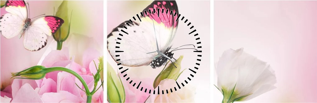 Obraz - Motyl (z zegarem) (90x30 cm)