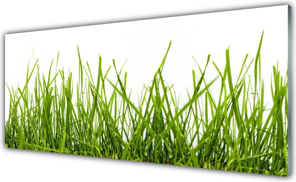 Panel Szklany Soczysta Zielona Polana