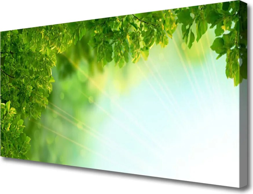 Obraz canvas Botaniczny Detal Liści