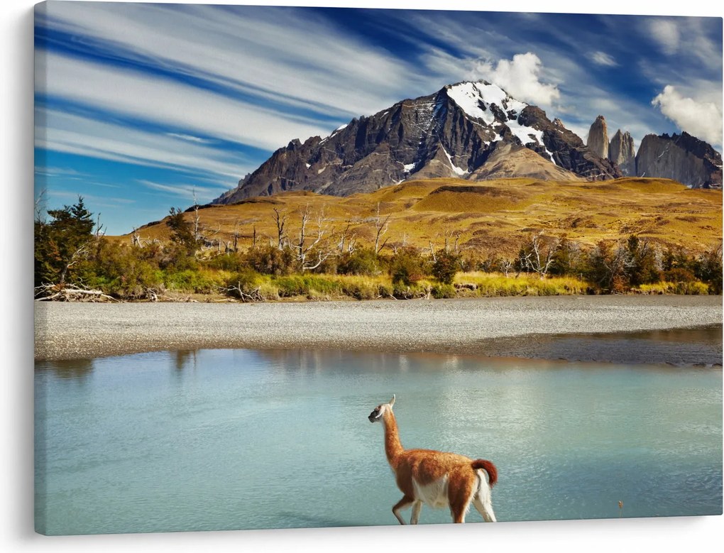 Obraz - Park Narodowy Torres del Paine (70x50 cm)