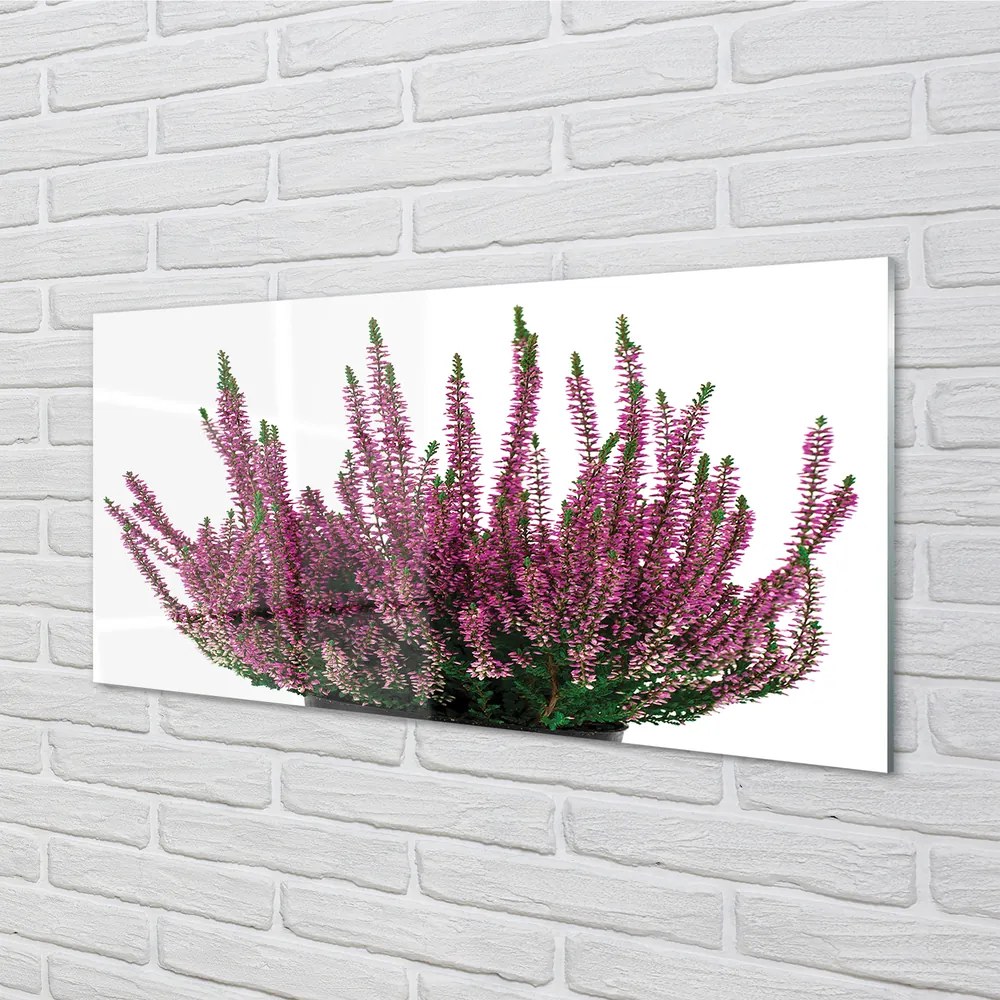 Szkło do Kuchni na Ścianę Kwiaty Wrzosu