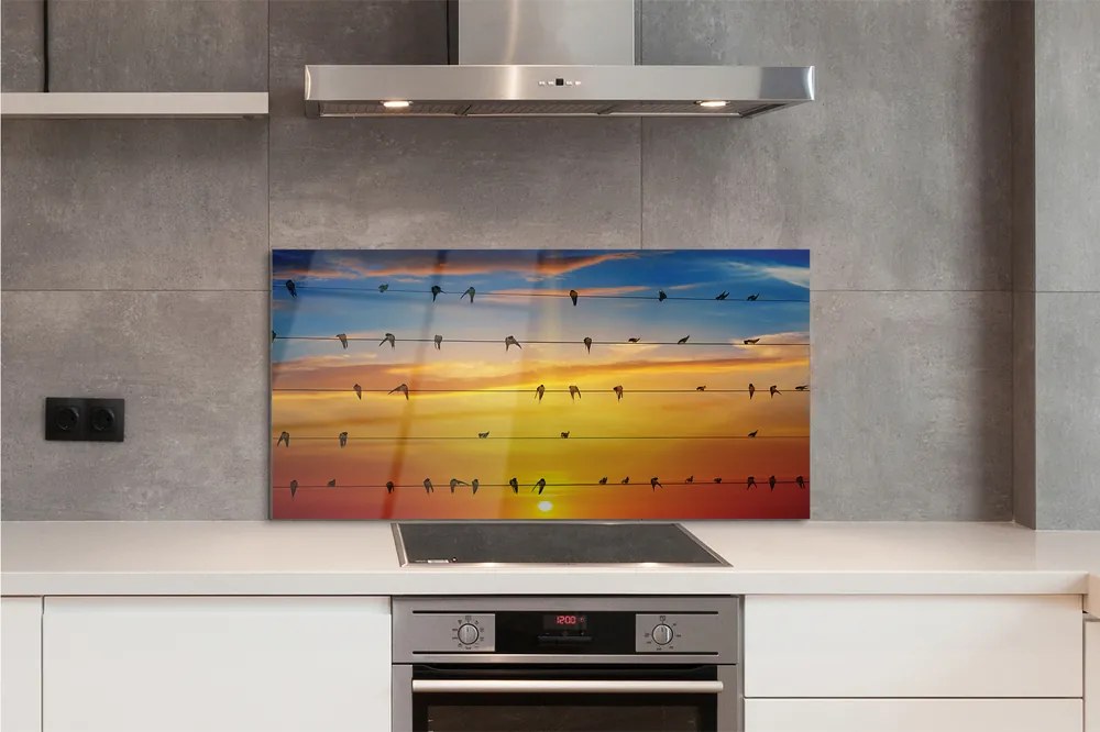 Panel Szklany Ptaki na Drutach o Zmierzchu