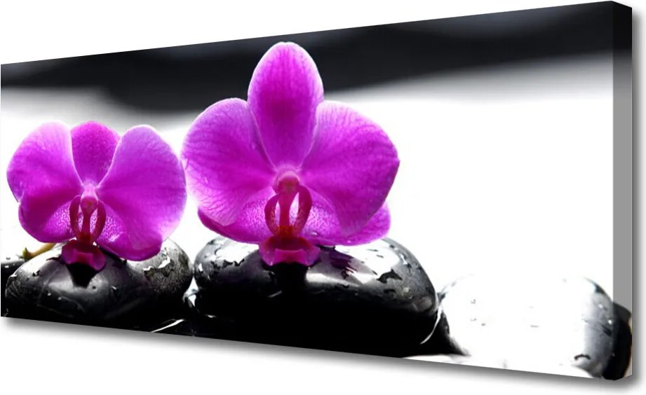 Obraz canvas Szlachetny Kwiat Orchidei