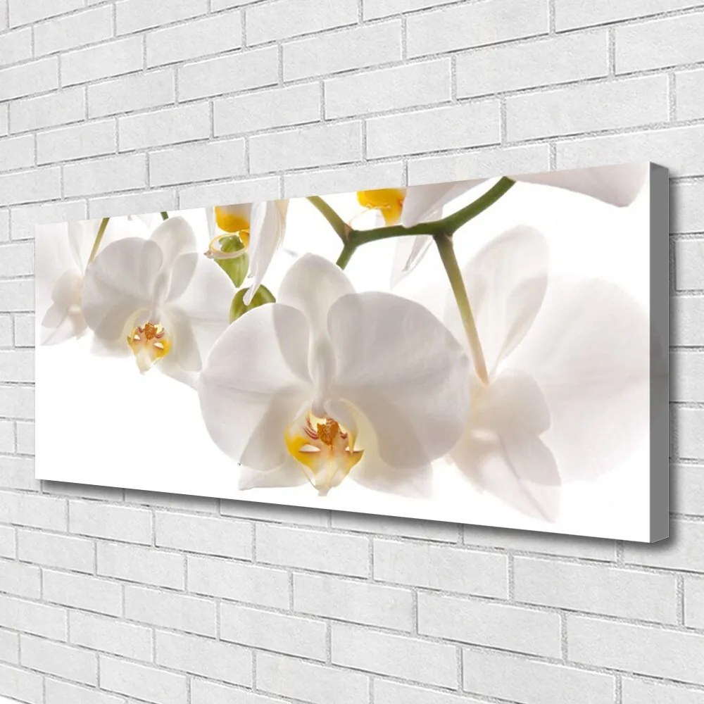 Obraz canvas na ścianę Egzotyczna Orchidea w Detalu