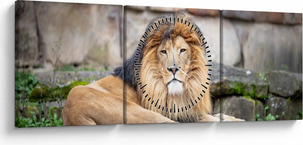 Obraz lwa (z zegarem) (90x30 cm)